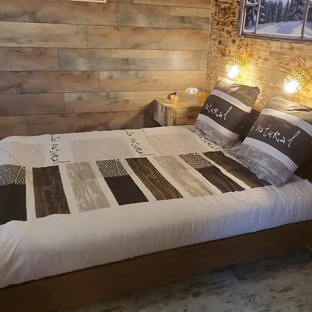 Apartment Montagne Style *