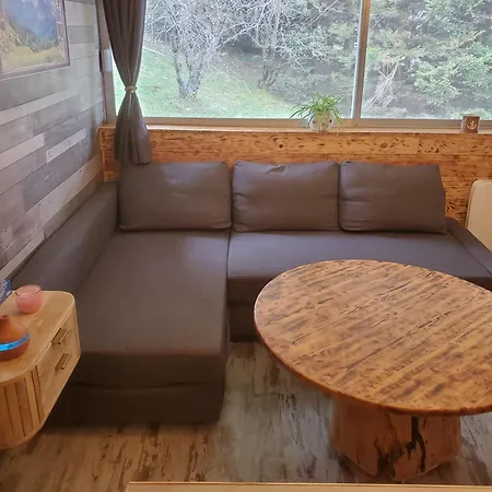 Montagne Style Apartment